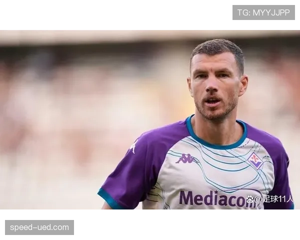 哲科与伊布锋线角色演变：单点驱动模式的强化逻辑